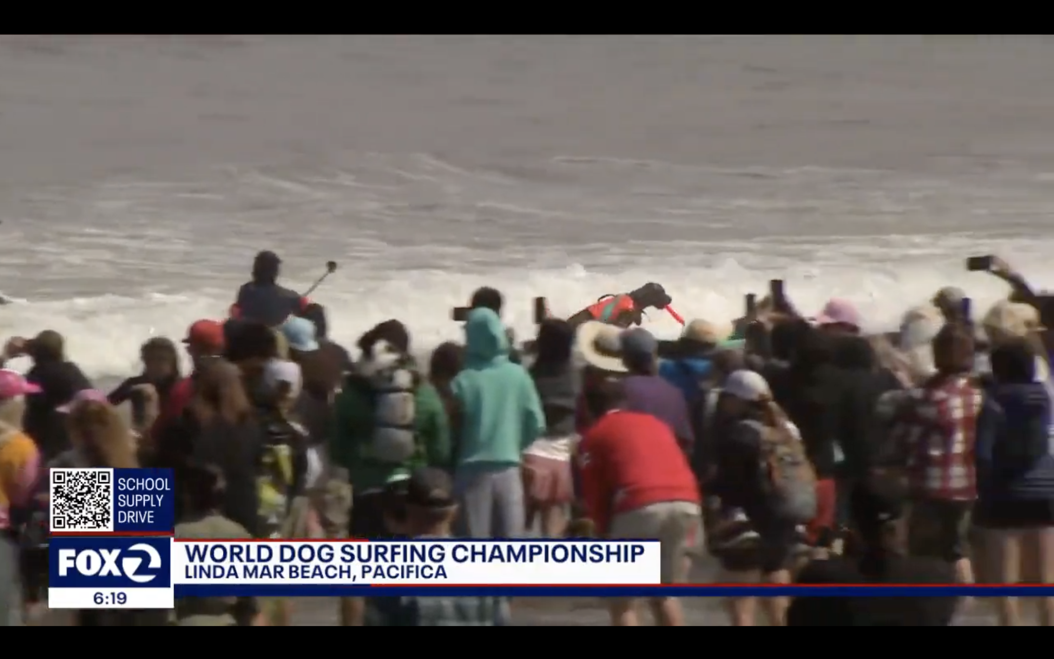 Fox2 World Dog Surfing Championship