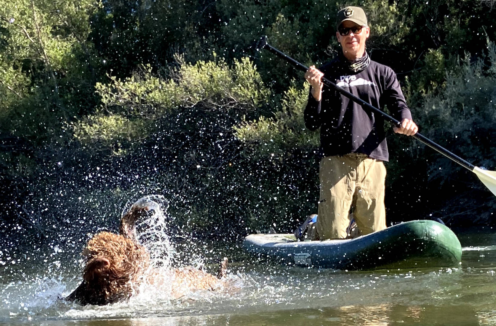 Water dog splashing into river