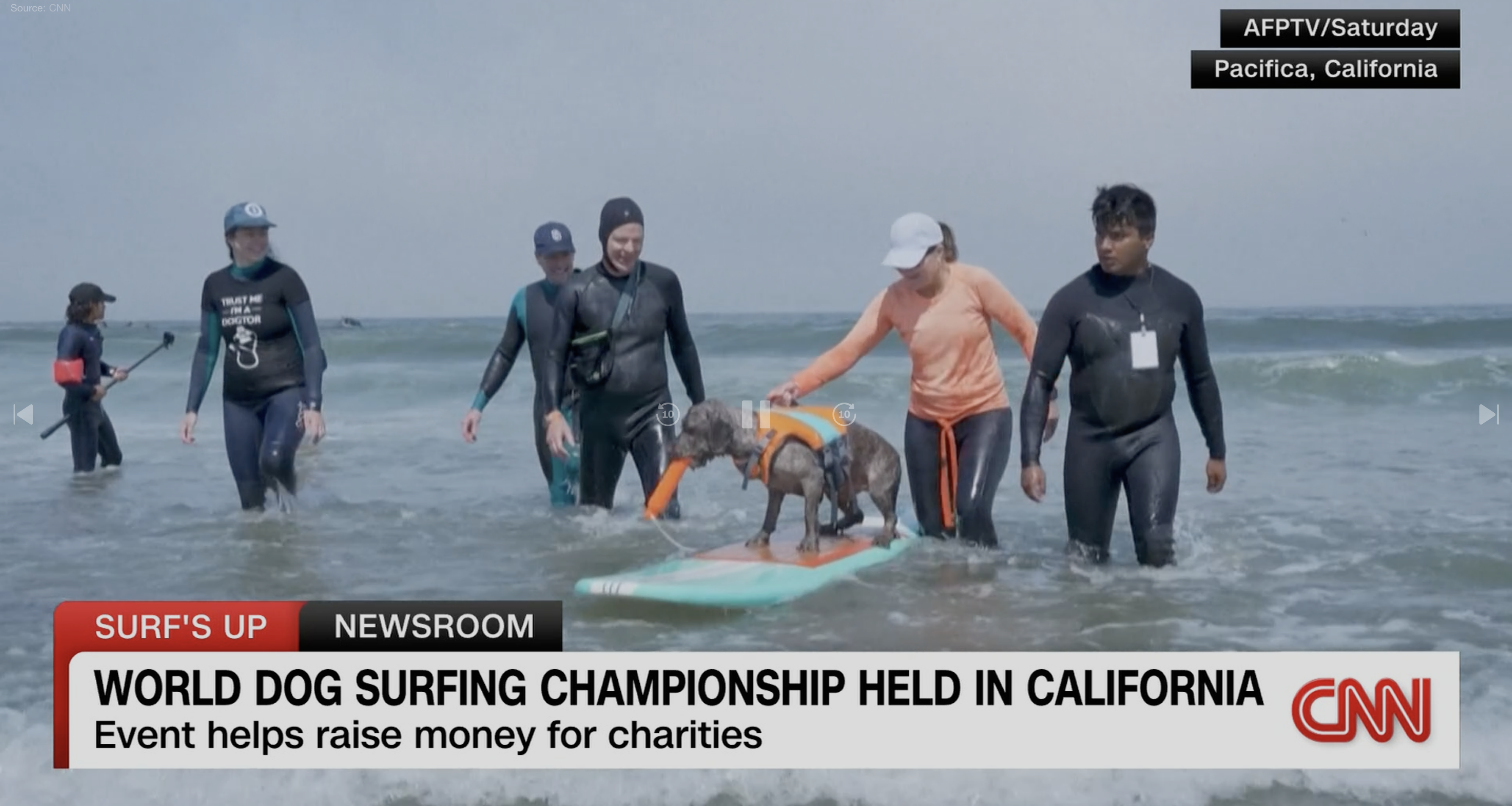 CNN Headline - World Dog Surfing Championship Held in California