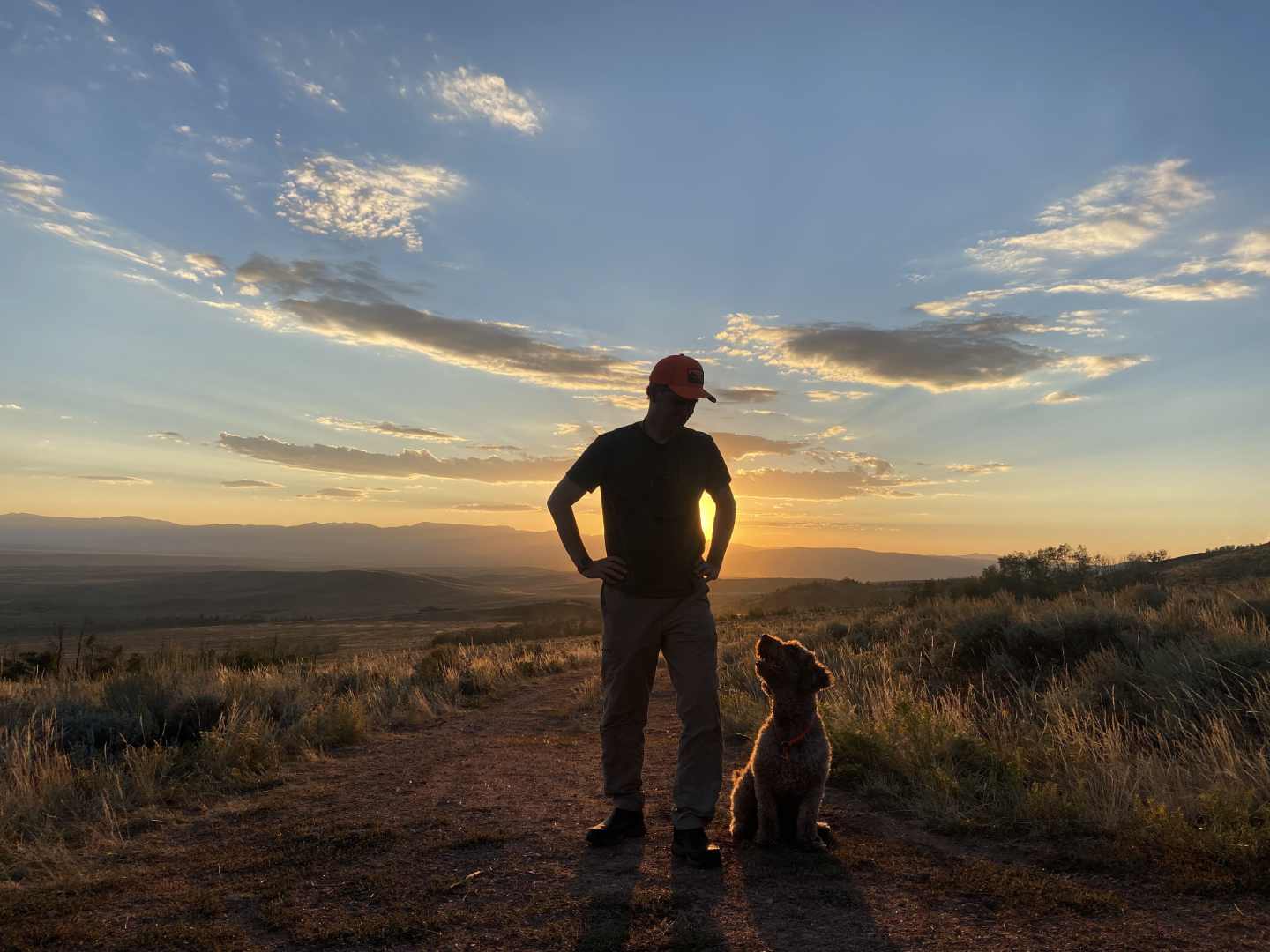 Water dog looking up at man in front of sunset