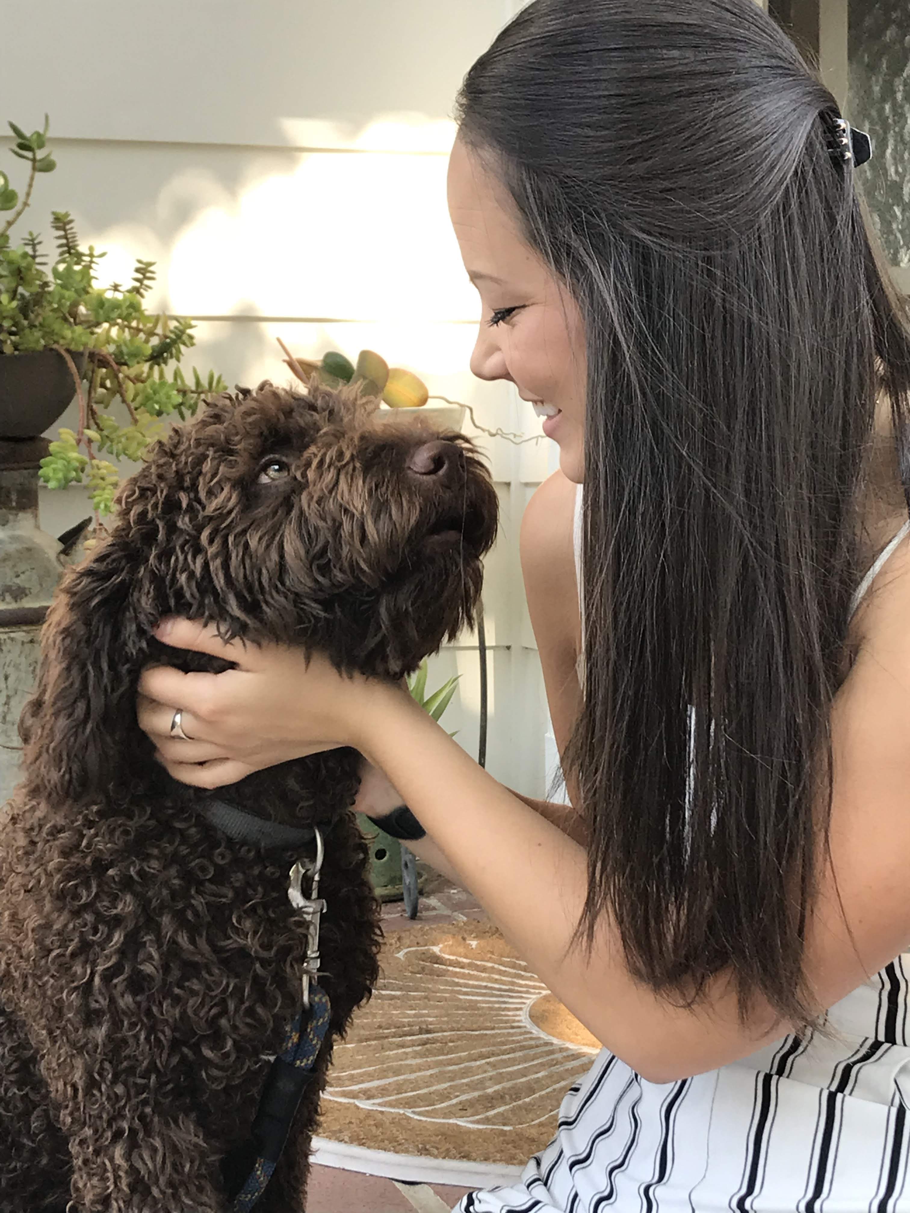 Water dog puppy looking at young woman