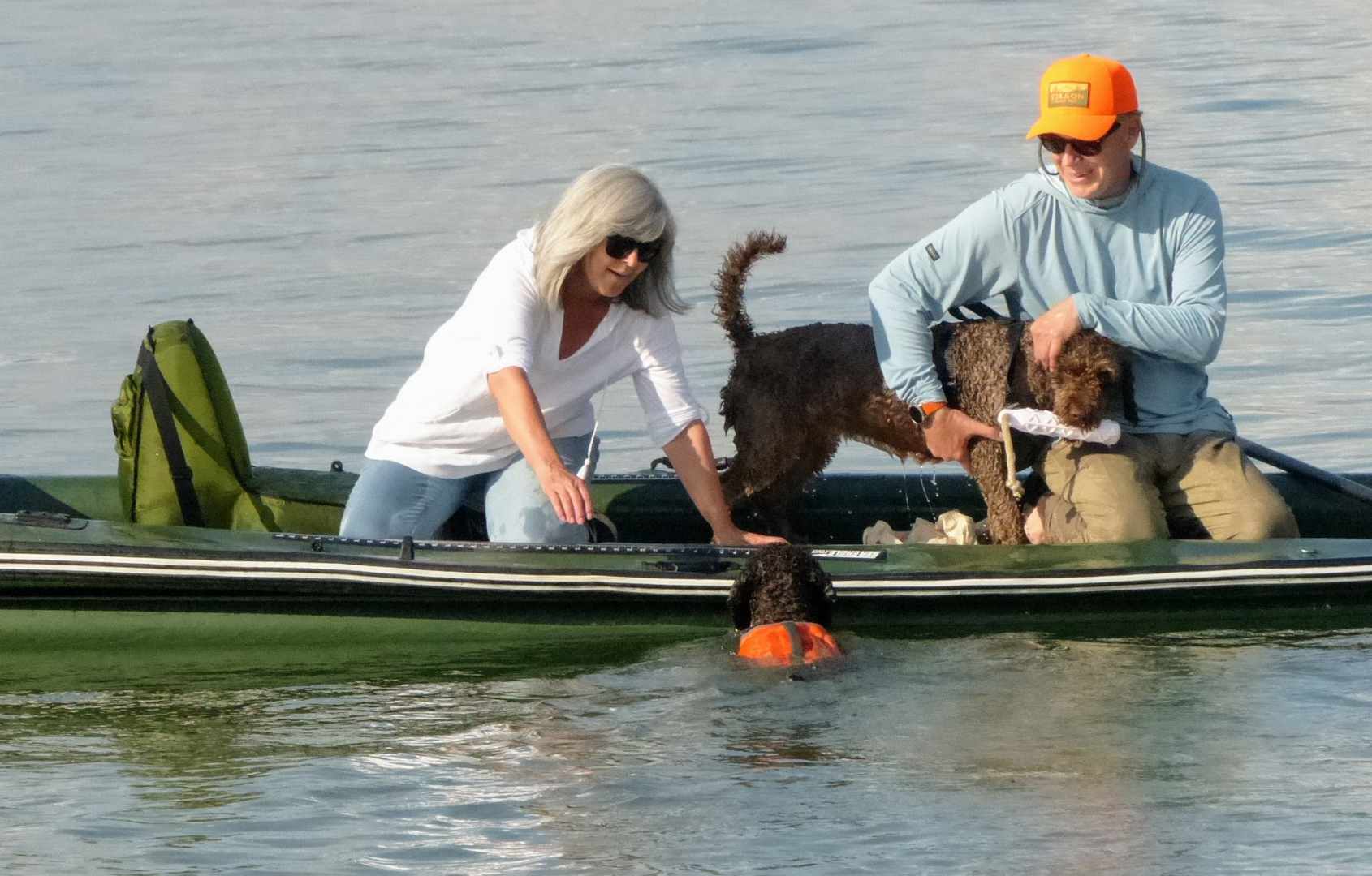 Spanish Water Dog in boat and another in water approaching the boat