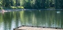 Dock in the foreground with lake and forested shore in the background